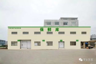 萬(wàn)眾期待，終于等到你——華西農(nóng)副產(chǎn)品交易中心水果區(qū)9月18日盛大開業(yè)